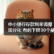 中小银行存款利率调整现分化 有的下降30个基点 有的逆势上调(图2) 中小银行存款利率调整现分化 有的下降30个基点 有的逆势上调(图2)