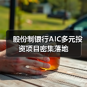 股份制银行AIC多元投资项目密集落地(图3) 股份制银行AIC多元投资项目密集落地(图3)