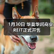 1月30日 华夏华润商业REIT正式开售（图4）
