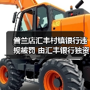 普兰店汇丰村镇银行违规被罚 由汇丰银行独资设立(图4) 普兰店汇丰村镇银行违规被罚 由汇丰银行独资设立(图4)