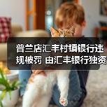 普兰店汇丰村镇银行违规被罚 由汇丰银行独资设立(图1) 普兰店汇丰村镇银行违规被罚 由汇丰银行独资设立(图1)