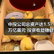 中投公司总资产达1.57万亿美元 投资收益稳健增长（图3）