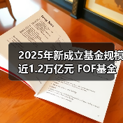 2025年新成立基金规模近1.2万亿元 FOF基金悄悄上分（图4）