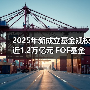 2025年新成立基金规模近1.2万亿元 FOF基金悄悄上分（图3）