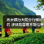 光大银行大同分行被处罚 涉贷后管理不到位等2宗违规（图4）