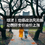 综述丨地缘政治风险推动国际金价油价上涨（图4）