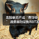 高股息资产成“香饽饽” 消费基础设施REIT发行获关注（图3）