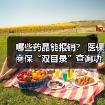 哪些药品能报销？ 医保商保“双目录”查询功能上线 　　（图1）