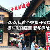 2026年首个交易日保险板块涨幅居首 新华保险、中国太保股价创新高 　　（图2）
