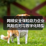 网络安全保险助力企业风险应对与数字化转型（图4）