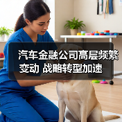 汽车金融公司高层频繁变动 战略转型加速（图4）