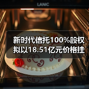 新时代信托100%股权拟以18.51亿元价格挂牌转让（图4）