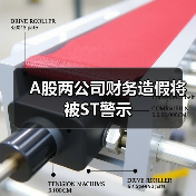 A股两公司财务造假将被ST警示