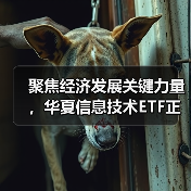 聚焦经济发展关键力量，华夏信息技术ETF正在发行中（图4）