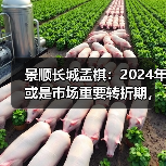景顺长城孟棋：2024年或是市场重要转折期，成长方向机会很多（图2）
