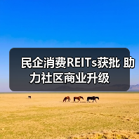 民企消费REITs获批 助力社区商业升级（图4）