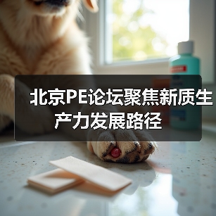 北京PE论坛聚焦新质生产力发展路径（图2）