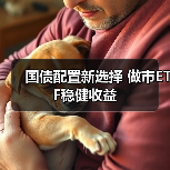 国债配置新选择 做市ETF稳健收益（图3）