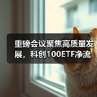 重磅会议聚焦高质量发展，科创100ETF净流入超30亿（图2）