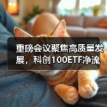 重磅会议聚焦高质量发展，科创100ETF净流入超30亿（图3）