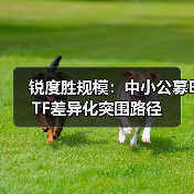 锐度胜规模：中小公募ETF差异化突围路径（图2）