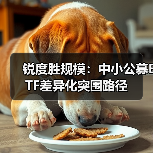锐度胜规模：中小公募ETF差异化突围路径（图4）