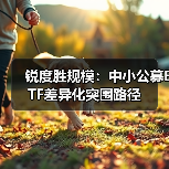 锐度胜规模：中小公募ETF差异化突围路径（图1）
