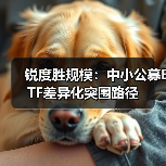 锐度胜规模：中小公募ETF差异化突围路径（图3）