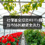 社保基金投资REITs释放市场长期资金活力（图3）