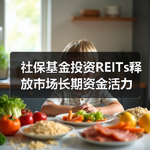 社保基金投资REITs释放市场长期资金活力（图1）
