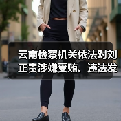 云南检察机关依法对刘正贵涉嫌受贿、违法发放贷款案提起公诉（图3）