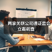 两家关联公司遭证监会立案调查（图2）