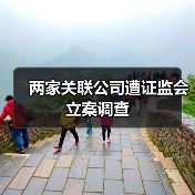 两家关联公司遭证监会立案调查（图3）