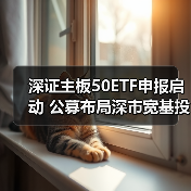 深证主板50ETF申报启动 公募布局深市宽基投资新机遇（图1）