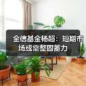 金信基金杨超：短期市场或需整固蓄力（图1）