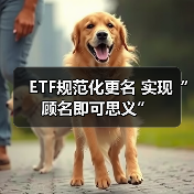 ETF规范化更名 实现“顾名即可思义”（图4）
