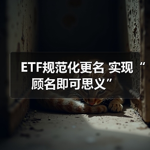 ETF规范化更名 实现“顾名即可思义”（图2）