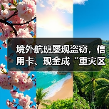 境外航班屡现盗窃，信用卡、现金成“重灾区”（图3）