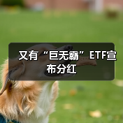 又有“巨无霸”ETF宣布分红（图2）