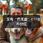 又有“巨无霸”ETF宣布分红（图4）