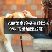 A股董责险投保数增长19% 市场加速发展（图2）