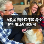 A股董责险投保数增长19% 市场加速发展（图4）