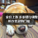 金价上涨 多家银行调整积存金起购门槛(图4) 金价上涨 多家银行调整积存金起购门槛(图4)