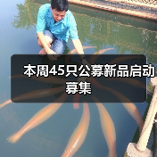 本周45只公募新品启动募集（图2）