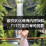 股权优化难掩内控缺陷，715万重罚考问民泰银行合规治理（图2）