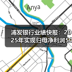 浦发银行业绩快报:2025年实现归母净利润500.17亿元 同比增10.52%(图3) 浦发银行业绩快报:2025年实现归母净利润500.17亿元 同比增10.52%(图3)