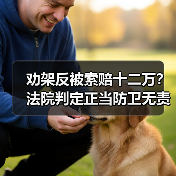 劝架反被索赔十二万？法院判定正当防卫无责（图2）