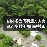 刨猪汤为何引爆万人奔赴？乡村年俗唤醒城市记忆（图2）