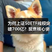 为何上证50ETF规模突破700亿？聚焦核心资产布局（图3）