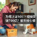 为何上证50ETF规模突破700亿？聚焦核心资产布局（图4）